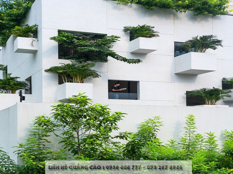 Nhà Sài Gòn Trổ 10 Mảnh Vườn Lơ Lửng