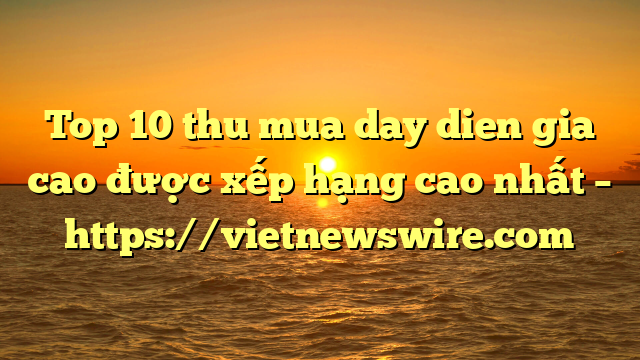Top 10 Thu Mua Day Dien Gia Cao Được Xếp Hạng Cao Nhất – Https://Vietnewswire.com